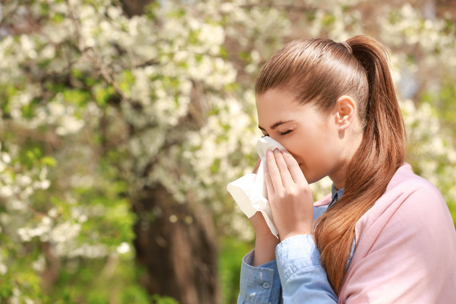 Allergies et oestrogènes